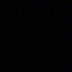 Meet your Posher, Ty